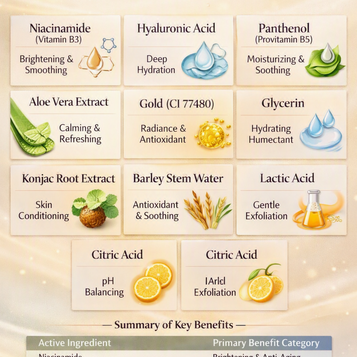 An infographic detailing skincare ingredients and their benefits, featuring a grid of ingredient names with corresponding icons (such as Aloe Vera, Niacinamide, and Hyaluronic Acid) and a summary table at the bottom listing active ingredients and primary benefit categories.